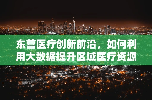 东营医疗创新前沿，如何利用大数据提升区域医疗资源分配效率？