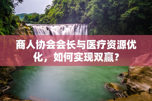 商人协会会长与医疗资源优化，如何实现双赢？