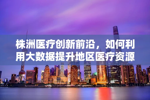 株洲医疗创新前沿，如何利用大数据提升地区医疗资源分配效率？