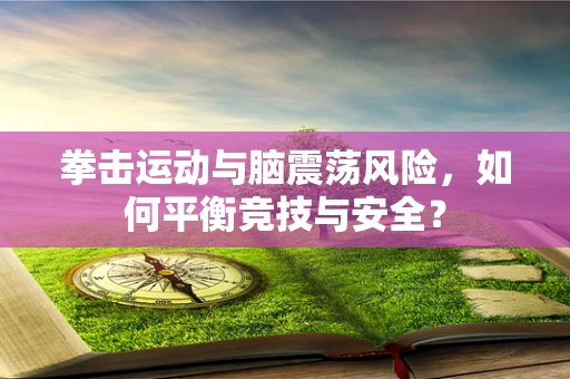 拳击运动与脑震荡风险，如何平衡竞技与安全？