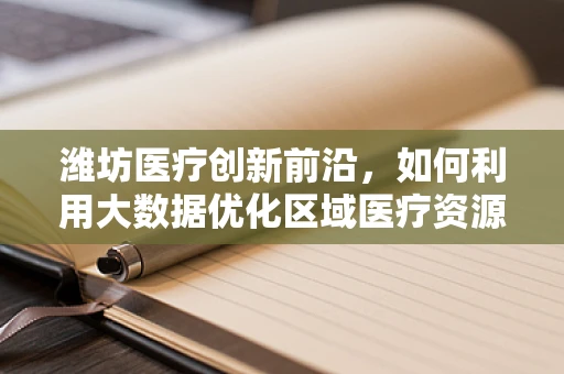 潍坊医疗创新前沿，如何利用大数据优化区域医疗资源分配？