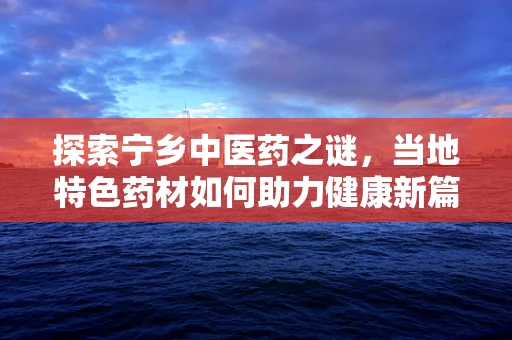 探索宁乡中医药之谜，当地特色药材如何助力健康新篇章？